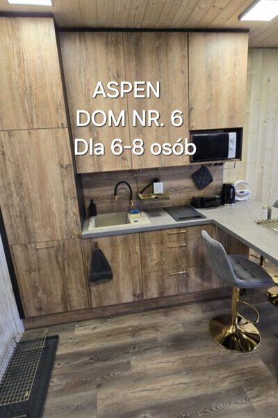 ASPEN  Dom nr 6 dla 6-8 osób